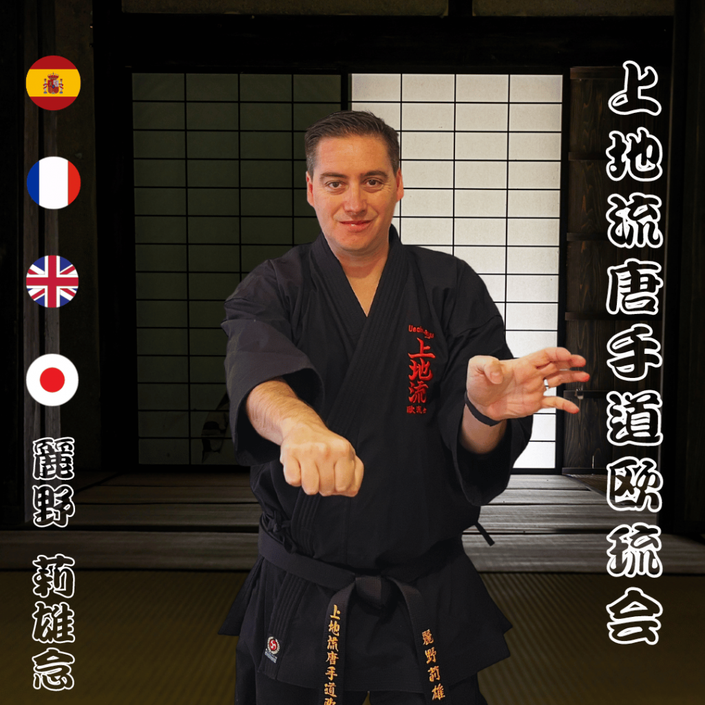 Uechi Ryu Okinawan Karate T-Shirt – Japan – Short Sleeve, Black Or Navy